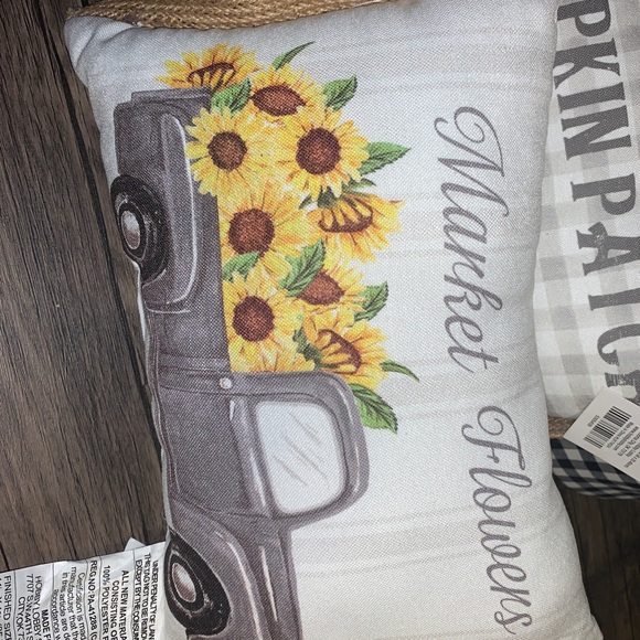 2 New accent pillows - Picture 3 of 4